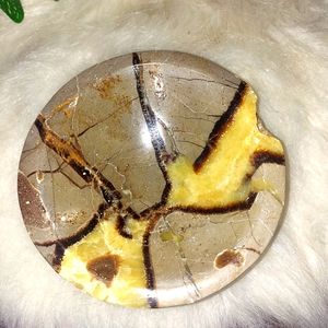 Septarian Bowl Healing Glows under UV Light 2LB 4 oz